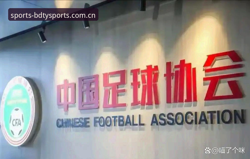 BDTY体育权威 足球反腐处罚名单深度解析教程——从半岛综合平台视角看中国足协第三批禁足令操作指南