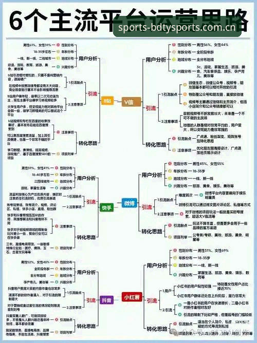 半岛综合体育安卓版 掌握半岛综合平台高效使用的实用技巧与必备知识