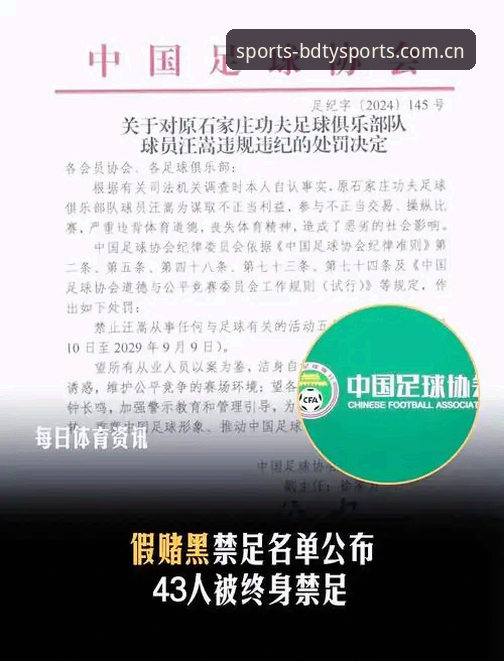 BDTY体育功能攻略 中国足协第三批禁足名单解读教程:BDTY体育功能攻略带你深度剖析行业整顿